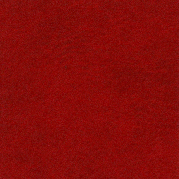 Rot